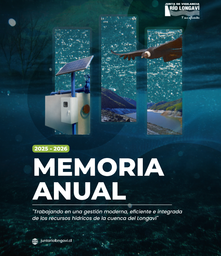 Memoria Anual Junta de Vigilancia Río Longaví
